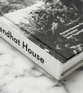 Haus Tugendhat – Ludwig Mies van der Rohe Buch Editorial Design Cover 