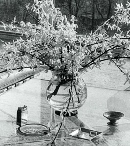 Haus Tugendhat – Ludwig Mies van der Rohe Buch Editorial Design Haus 