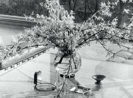 Haus Tugendhat – Ludwig Mies van der Rohe Buch Editorial Design Haus