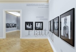 Roger Ballen Exhibtion Design Ausstellungsgestaltung Francisco Carolinum Linz