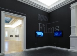 Roger Ballen Exhibtion Design Ausstellungsgestaltung Francisco Carolinum Linz