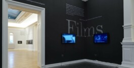 Roger Ballen Exhibtion Design Ausstellungsgestaltung Francisco Carolinum Linz