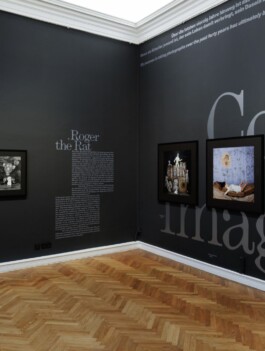STUDIO Anouk Rehorek