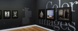 Roger Ballen Exhibtion Design Ausstellungsgestaltung Francisco Carolinum Linz