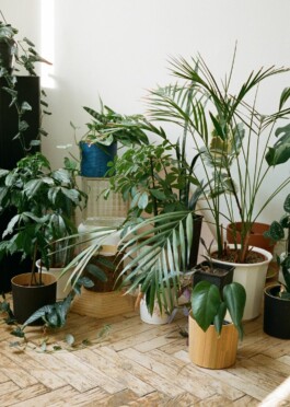 HEITA Contemporary Wood Wohnaccessoires