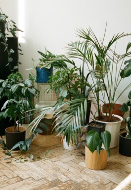 HEITA Contemporary Wood Wohnaccessoires