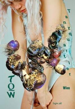 TQW Tanzquartier Wien Corporate Design Branding Kampagne