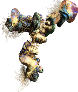 STUDIO Anouk Rehorek