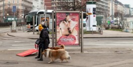 Theater an der Wien L'arbore di Diana Poster Plakat Anni Kathrin Elmer 