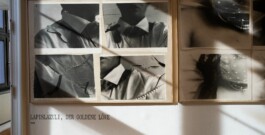 Michaela Moscouw Ausstellungsgestaltung Exhibition Design Francisco Carolinum Linz