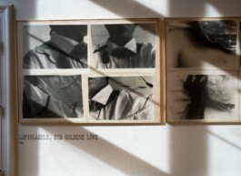 Michaela Moscouw Ausstellungsgestaltung Exhibition Design Francisco Carolinum Linz