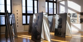 Michaela Moscouw Ausstellungsgestaltung Exhibition Design Francisco Carolinum Linz