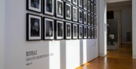 Michaela Moscouw Ausstellungsgestaltung Exhibition Design Francisco Carolinum Linz