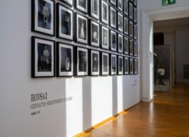 Michaela Moscouw Ausstellungsgestaltung Exhibition Design Francisco Carolinum Linz