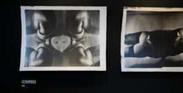 STUDIO Anouk Rehorek