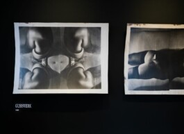 Michaela Moscouw Ausstellungsgestaltung Exhibition Design Francisco Carolinum Linz