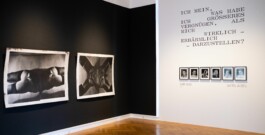 STUDIO Anouk Rehorek