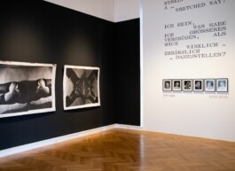 Michaela Moscouw Ausstellungsgestaltung Exhibition Design Francisco Carolinum Linz