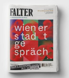 Wiener Stadtgespräch Branding Corporate Design Inserat 