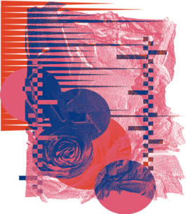 STUDIO Anouk Rehorek