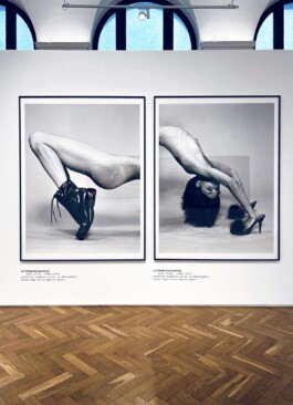 Elfie Semotan – O.T. Ausstellungsgestaltung Exhibtion Design