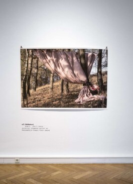 Elfie Semotan – O.T. Ausstellungsgestaltung Exhibtion Design